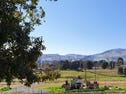 14 Rimmers Lane, Adelong, NSW 2729