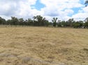 Lot 45 Glenlyon Street, Wallangarra, Qld 4383