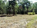 Lot 212 Van Hensbroek Road, Bauple, Qld 4650