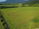 L107 Old Tully Road, Djarawong, Qld 4854