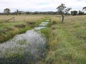 Lot 83 New England Highway, Jennings, NSW 4383