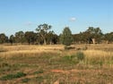Nyngan, address available on request