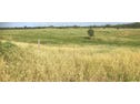 Lot 2 Thirsty Creek Road, Gogango, Qld 4702