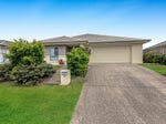 19 McHugh Court, Augustine Heights, Qld 4300