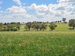1106 Scenic Road, Young, NSW 2594