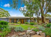 23 Sheoak Crescent, Aberfoyle Park, SA 5159