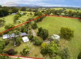 187 Upper Warrell Creek Road, Congarinni, NSW 2447