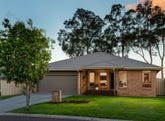38 Macrae Street, East Maitland, NSW 2323