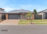 20 Gonis Circuit, Evanston Gardens, SA 5116