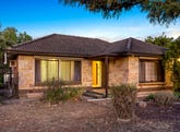 4 Barnett Street, Salisbury, SA 5108