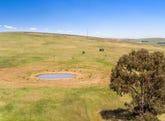 'Horse Paddock', Betterson Road, Hill River, SA 5453