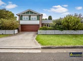 40 Wilberforce Road, Revesby, NSW 2212
