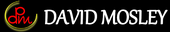 David Mosley Real Estate