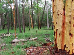 Lot 5 Nyora Road, Leyburn, Qld 4365