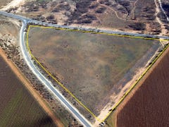 Section 1044 Bookpurnong Road, Loxton, SA 5333