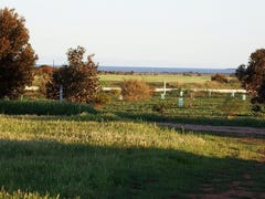 SECTION 313, Lincoln Highway, Lipson, SA 5607