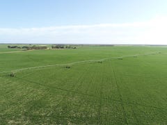 298 Arthurs Road, Telopea Downs, Vic 3420