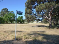 138 Riddoch Highway, Keith, SA 5267