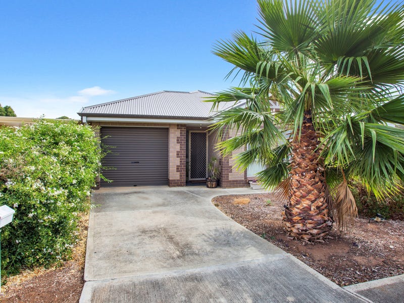 Real Estate & Property For Rent in Mitchell Park, SA 5043 (Page 1